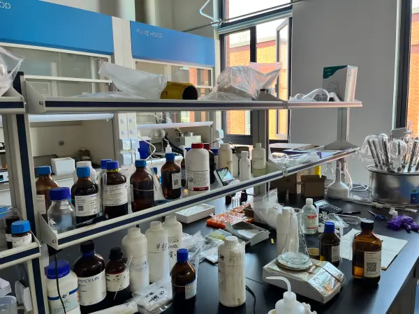 Lab 3