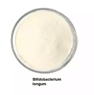 Probiotics Bifidobacterium Longum 100Billion CFU Gastrointestinal Healthcare Food Additive