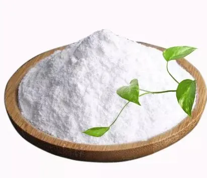 Sodium Cocoyl Isethionate 61789-32-0 Gentle Facial Cleansing White Powder 1-100kgs