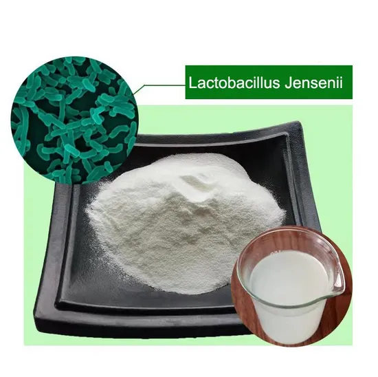 Probiotic Blend with Lactobacillus Jensenii for Vaginal Health Support, White Powder